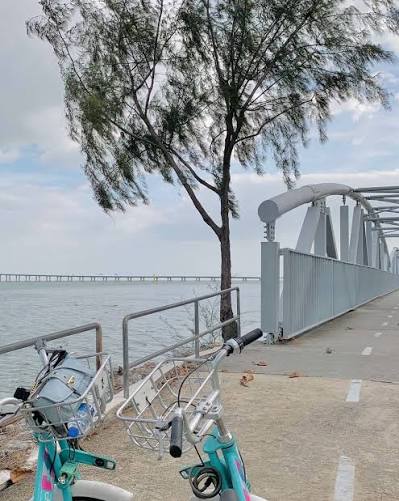 First Penang Bridge lit up at night viewed from the Queensbay waterfront